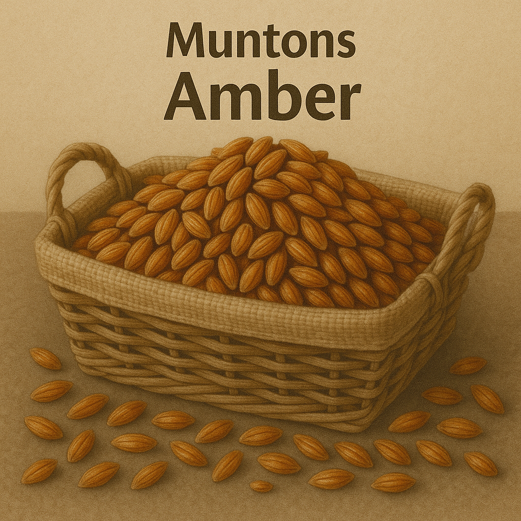 Солод Muntons Amber