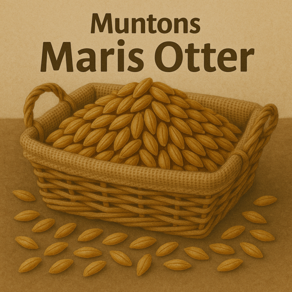 Солод Muntons Maris Otter